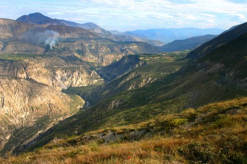 La forêt sèche Jérusalem contient une grande variété de faune et de flore