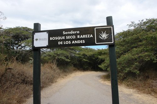 seniters-parc jerusalem-quito