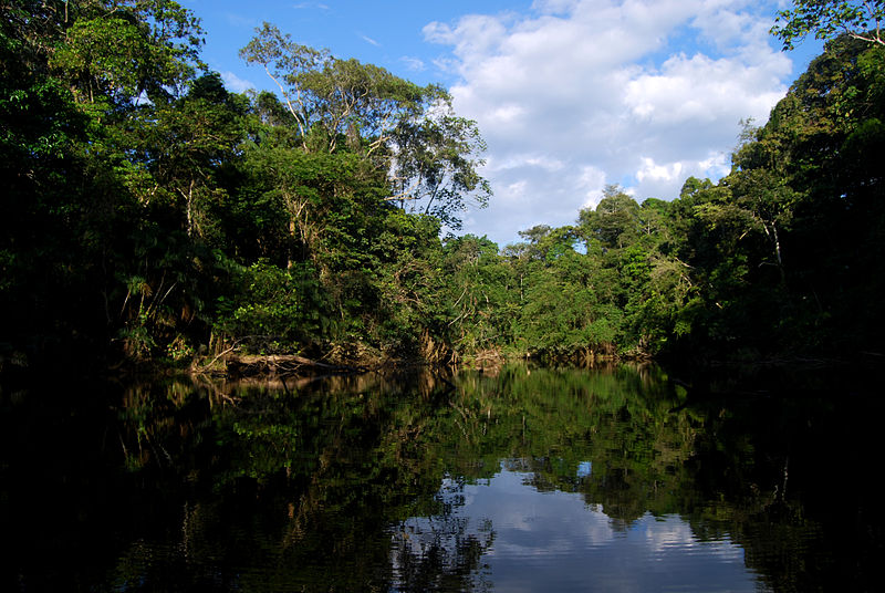 Le Parc Yasuni (source : wikimedia commons)