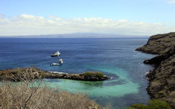 Galapagos