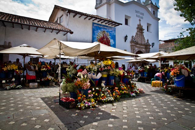Marché aux fleurs- Cuenca-Equateur-1
