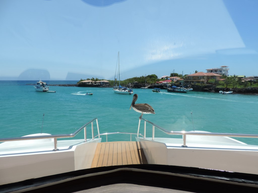 croisiere galapagos eco-galaxy 4