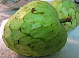 cherimoya