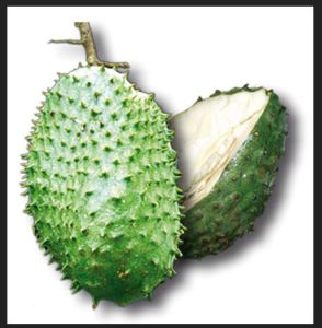 guanabana