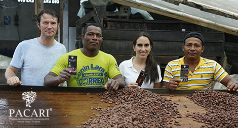 cacao equateur chocolat