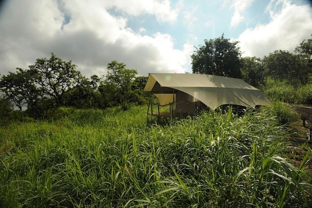 SAFARI_CAMP_galapagos