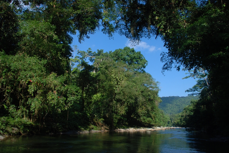 La réserve biologique du Rio Bigal